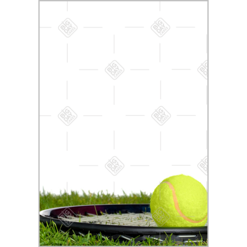 Anyone for tennis? topper - portrait